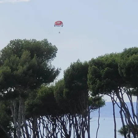 Apartment Vue Sur